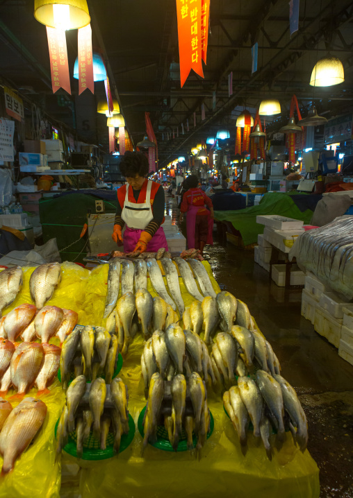 Noryangjin fisheries wholesale market, National capital area, Seoul, South korea