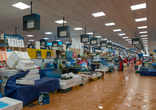 New area of noryangjin fisheries wholesale market, National capital area, Seoul, South korea