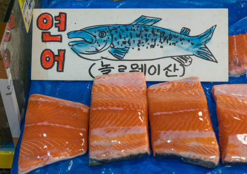 Salmon in noryangjin fisheries wholesale market, National capital area, Seoul, South korea