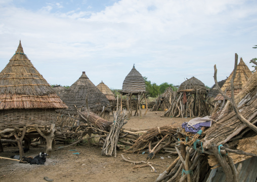 Traditional Toposa tribe village with huts and granaries, Namorunyang State, Kapoeta, South Sudan