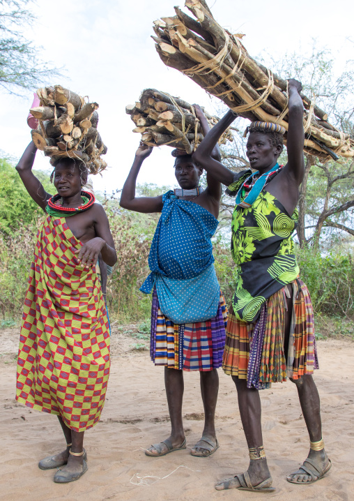 Toposa tribe women carrying wood branches on their heads, Namorunyang State, Kapoeta, South Sudan