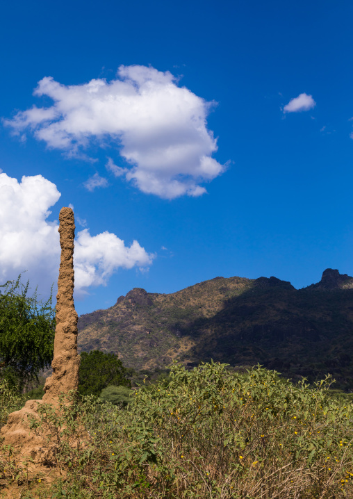 Termite mound against a mountain, Boya Mountains, Imatong, South Sudan