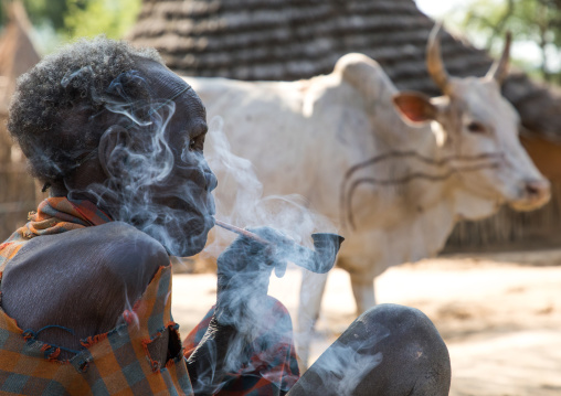 Old Larim tribe woman smoking pipe in front of a cow, Boya Mountains, Imatong, South Sudan