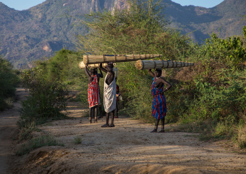 Larim tribe women carrying thatch used to make the roofs of the houses, Boya Mountains, Imatong, South Sudan