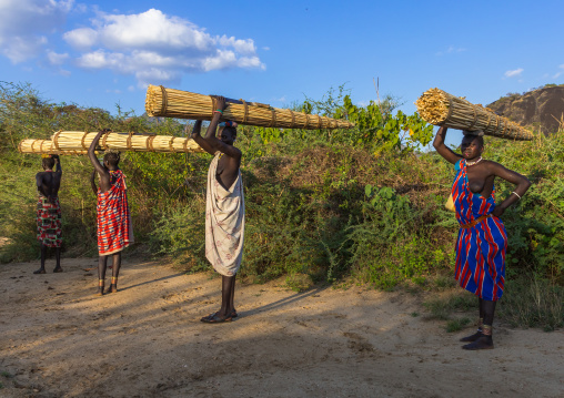 Larim tribe women carrying thatch used to make the roofs of the houses, Boya Mountains, Imatong, South Sudan