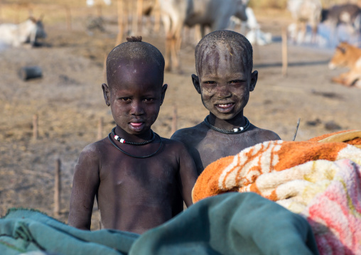 Mundari tribe boys covered in ash to repel flies and mosquitoes in a cattle camp, Central Equatoria, Terekeka, South Sudan