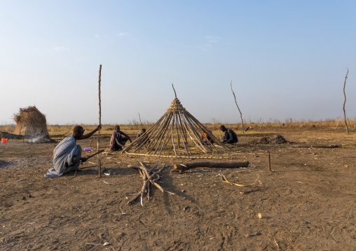 Mundari tribe men building a house roof in a cattle camp, Central Equatoria, Terekeka, South Sudan