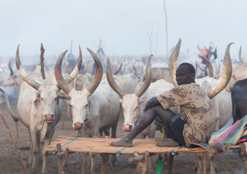 Mundari tribe man sitting on a bed in the early morning in a cattle camp, Central Equatoria, Terekeka, South Sudan