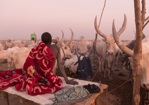 Mundari tribe man sitting on a bed in the early morning in a cattle camp, Central Equatoria, Terekeka, South Sudan