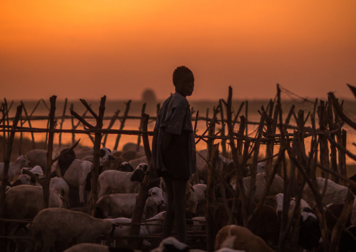 Mundari tribe boy taking care of the sheeps in the cattle camp at sunset, Central Equatoria, Terekeka, South Sudan