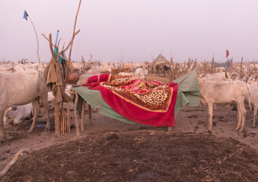 Mundari tribe man sleeping on a bed in a cattle camp, Central Equatoria, Terekeka, South Sudan