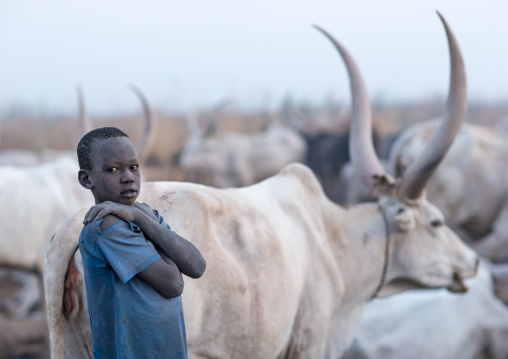 Mundari tribe boy in the middle of long horns cows in a cattle camp, Central Equatoria, Terekeka, South Sudan
