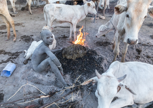 Mundari tribe boy making a campfire made with dried cow dungs to repel flies and mosquitoes, Central Equatoria, Terekeka, South Sudan