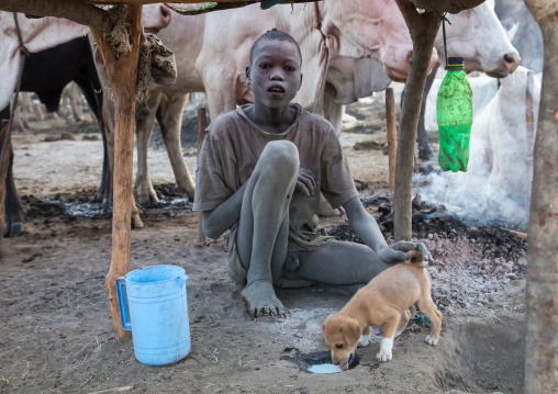 Mundari tribe boy giving milk to a puppy in a cattle camp, Central Equatoria, Terekeka, South Sudan