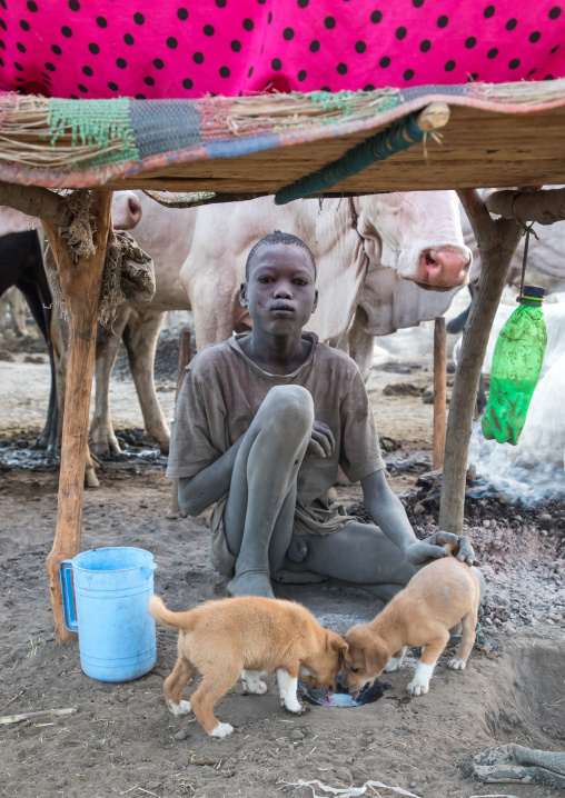 Mundari tribe boy giving milk to puppies in a cattle camp, Central Equatoria, Terekeka, South Sudan