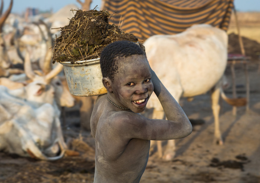 Smiling Mundari tribe boy collecting cow dungs to burn to repel flies and mosquitoes, Central Equatoria, Terekeka, South Sudan