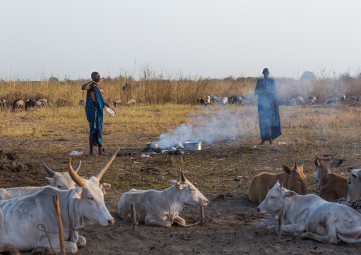 Mundari tribe women in a cattle camp, Central Equatoria, Terekeka, South Sudan