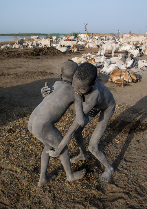Mundari tribe boys wrestling in a cattle camp, Central Equatoria, Terekeka, South Sudan