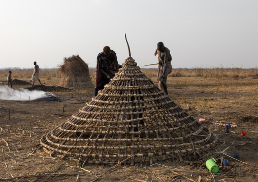 Mundari tribe men building a house roof in a cattle camp, Central Equatoria, Terekeka, South Sudan