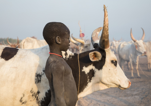 Portrait of a Mundari tribe boy in a cattle camp, Central Equatoria, Terekeka, South Sudan