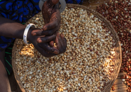Mundari tribe woman removing the peanuts skin, Central Equatoria, Terekeka, South Sudan