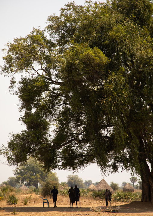 Mundari tribe men under the shadow of a giant tree, Central Equatoria, Terekeka, South Sudan