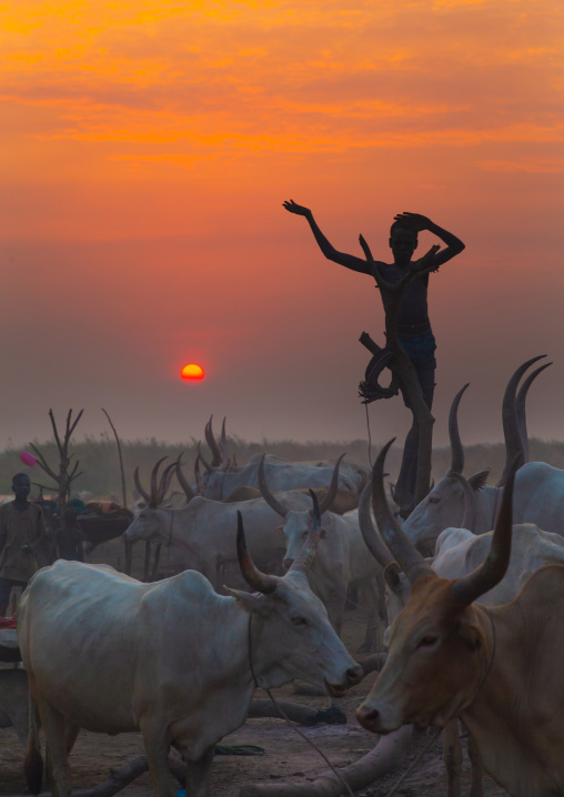 A Mundari tribe boy standing on a wood mast mimics the position of horns of his favourite cow, Central Equatoria, Terekeka, South Sudan