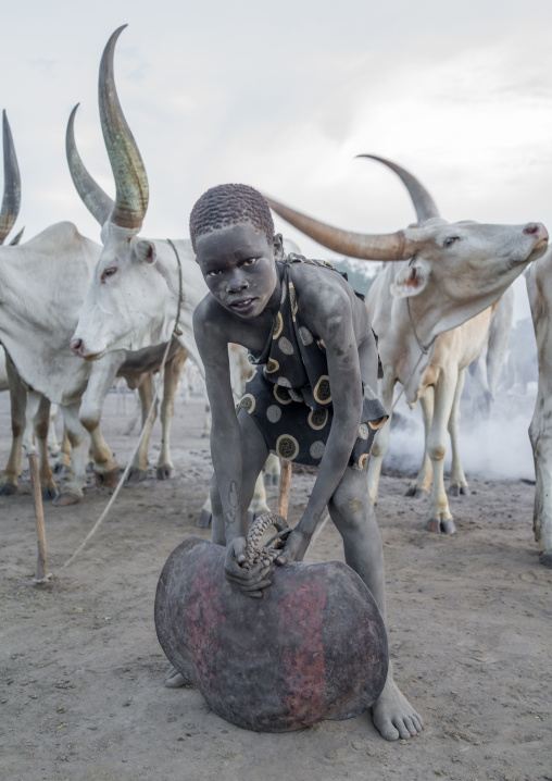 Mundari tribe boy with a huge bell covered in ash taking care of long horns cows in a camp, Central Equatoria, Terekeka, South Sudan