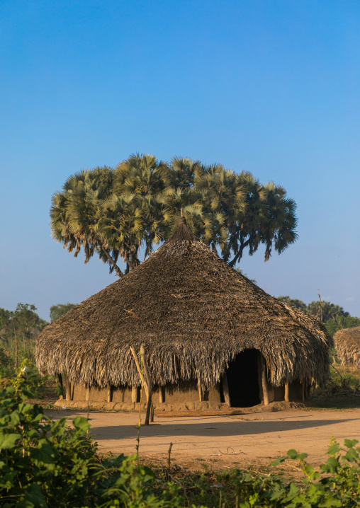 Traditional Mundari tribe village with doum palm trees, Central Equatoria, Terekeka, South Sudan