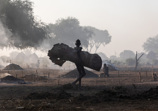 Mundari tribe boy collecting dried cow dungs in a cow skin to make bonfires to repel mosquitoes and flies, Central Equatoria, Terekeka, South Sudan