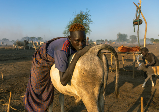 Mundari tribe man leaning on the back of his cow, Central Equatoria, Terekeka, South Sudan