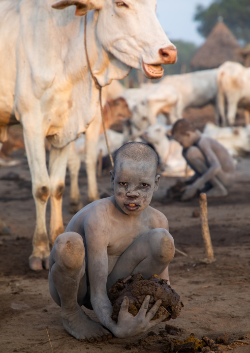 Mundari tribe boys collecting cow dungs to make bonfire, Central Equatoria, Terekeka, South Sudan