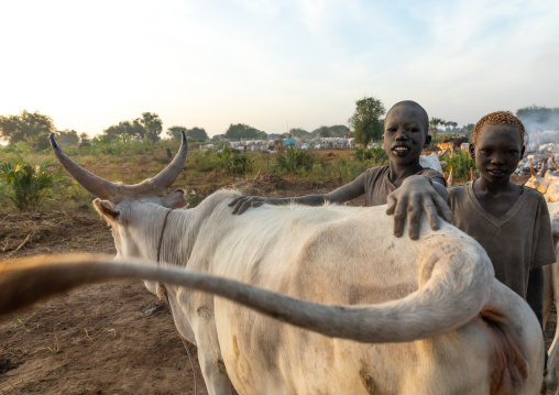 Mundari tribe boys taking care of the long horns cows in a camp, Central Equatoria, Terekeka, South Sudan