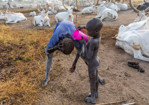 Mundari tribe boy showering with fresh cow urine to dye his hair in orange, Central Equatoria, Terekeka, South Sudan
