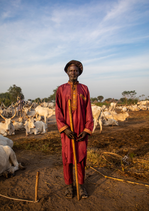 Portrait of a Mundari tribe man in traditional clothing with his cows, Central Equatoria, Terekeka, South Sudan