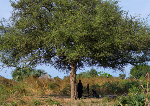 Mundari tribe people under a giant tree, Central Equatoria, Terekeka, South Sudan