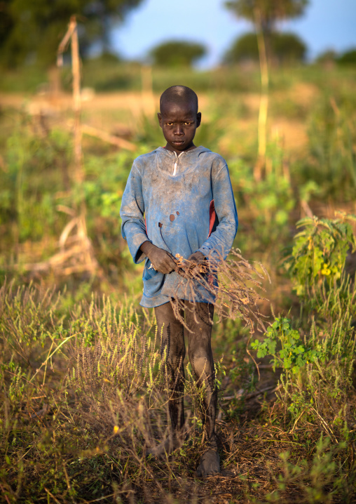 Portrait of a Mundari tribe boy in a field, Central Equatoria, Terekeka, South Sudan