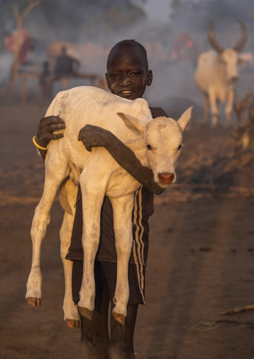 Mundari tribe boy carrying a calf in a camp, Central Equatoria, Terekeka, South Sudan