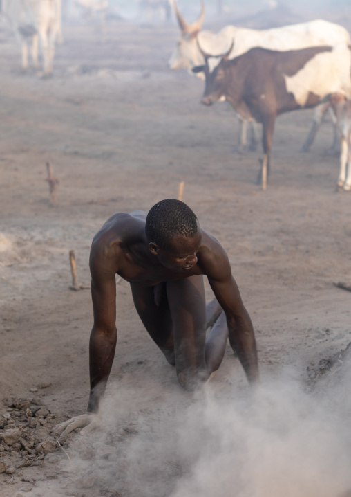 Mundari tribe boy taking care of the bonfires made with dried cow dungs to repel flies and mosquitoes, Central Equatoria, Terekeka, South Sudan