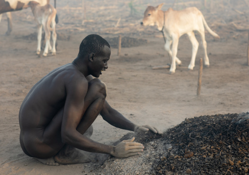 Mundari tribe man taking care of the bonfires made with dried cow dungs to repel mosquitoes, Central Equatoria, Terekeka, South Sudan