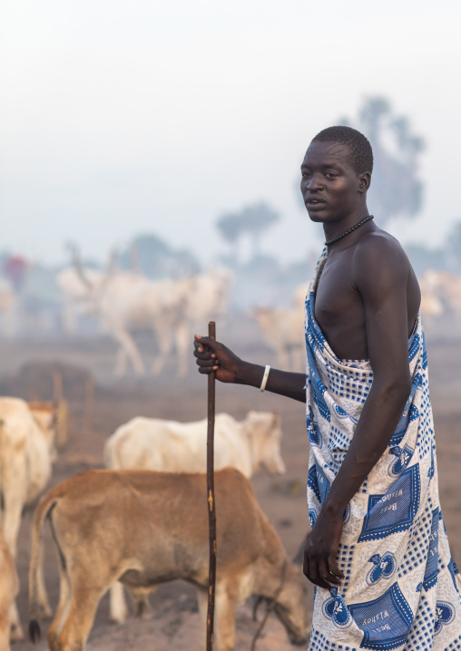 Portrait of a Mundari tribe man with his long horns cows, Central Equatoria, Terekeka, South Sudan