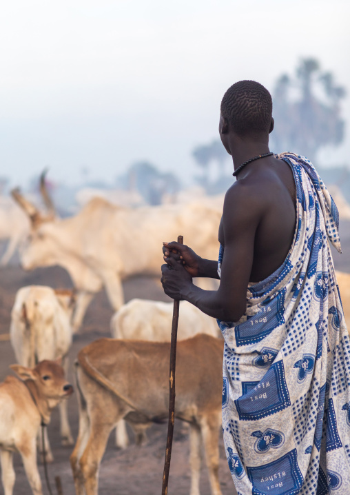 Portrait of a Mundari tribe man with his long horns cows, Central Equatoria, Terekeka, South Sudan
