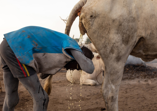 Mundari tribe boy showering in the cow urine to dye his hair in orange, Central Equatoria, Terekeka, South Sudan