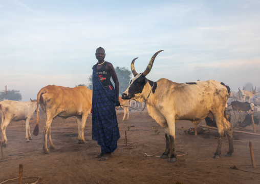 Mundari tribe woman with long horns cows in a camp, Central Equatoria, Terekeka, South Sudan