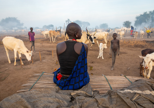 Mundari tribe woman resting on a wooden bed in the middle of his long horns cows, Central Equatoria, Terekeka, South Sudan