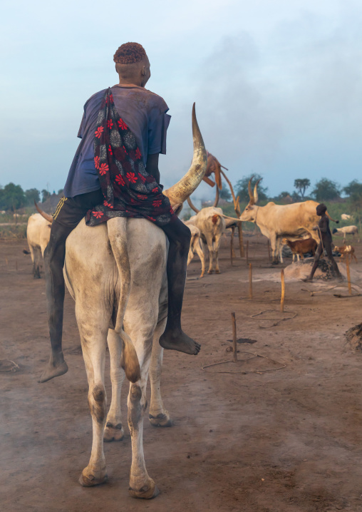 Mundari tribe man riding a long horns cow, Central Equatoria, Terekeka, South Sudan