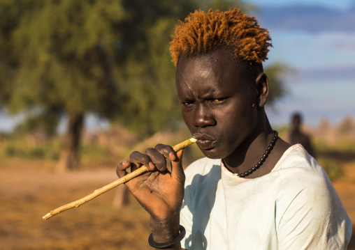 Mundari tribe man with orange hair using a wooden toothbrush to clean his teeth, Central Equatoria, Terekeka, South Sudan