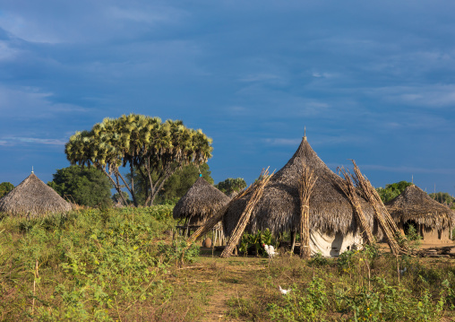 Traditional Mundari tribe village with doum palms, Central Equatoria, Terekeka, South Sudan