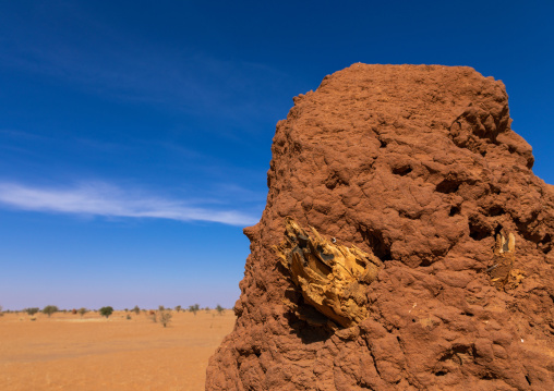 Termite mound in an arid area, Khartoum State, Khartoum, Sudan