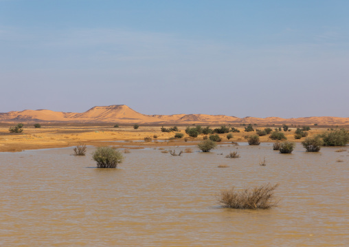 Lake in the desert, Nubia, Old Dongola, Sudan